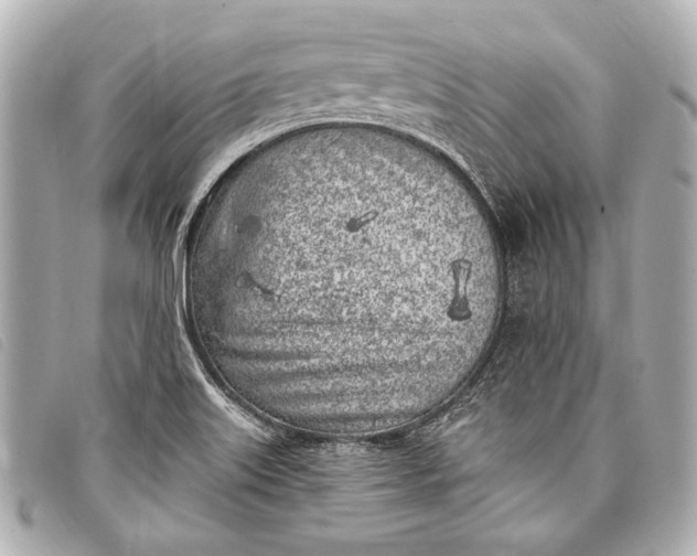 X0000098111515200804181438