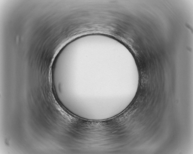 X0000098111516200804181438
