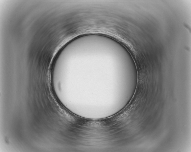 X0000098111517200804181438
