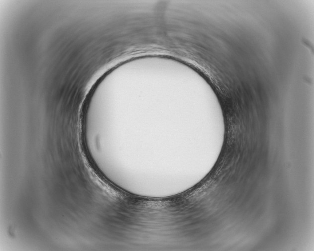 X0000098111518200804181438