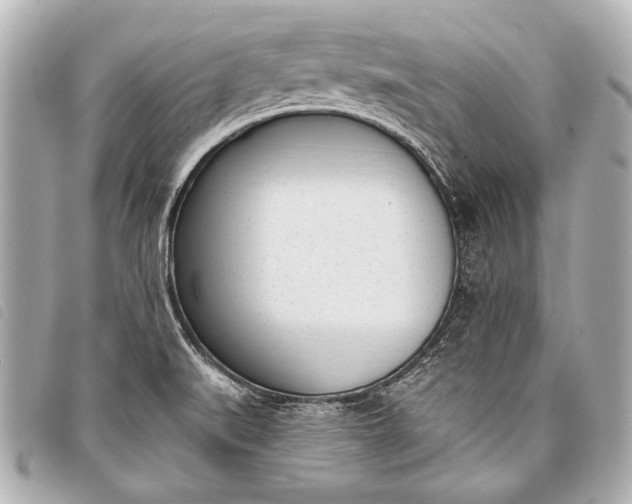 X0000098111519200804181438