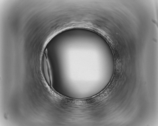 X0000098111520200804181438