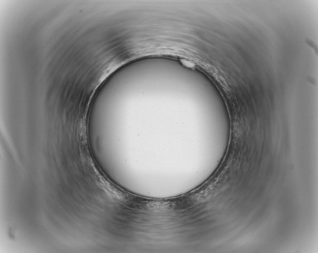 X0000098111521200804181438
