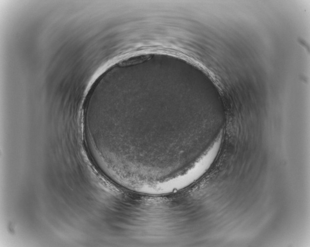 X0000098111522200804181438