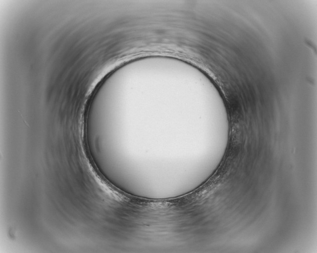 X0000098111523200804181438