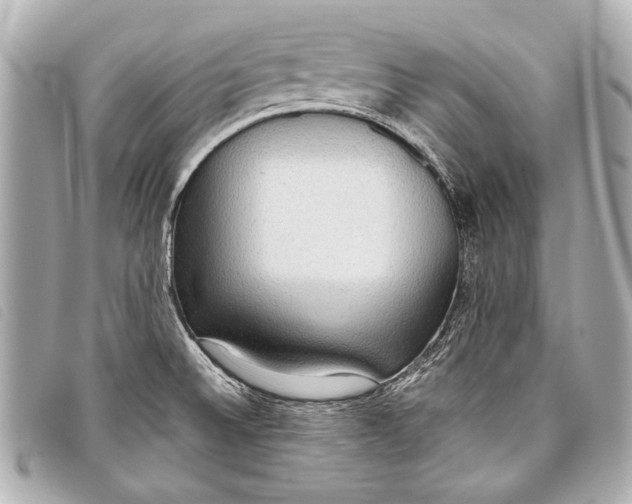X0000098111524200804181438