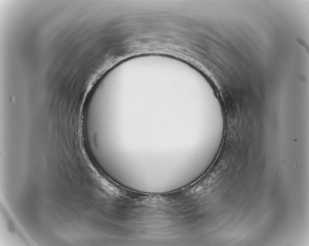 X0000098111525200804181438