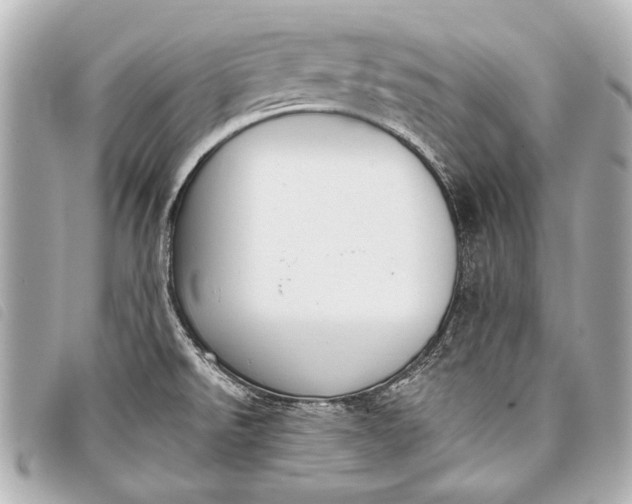 X0000098111526200804181438
