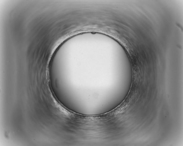X0000098111527200804181438