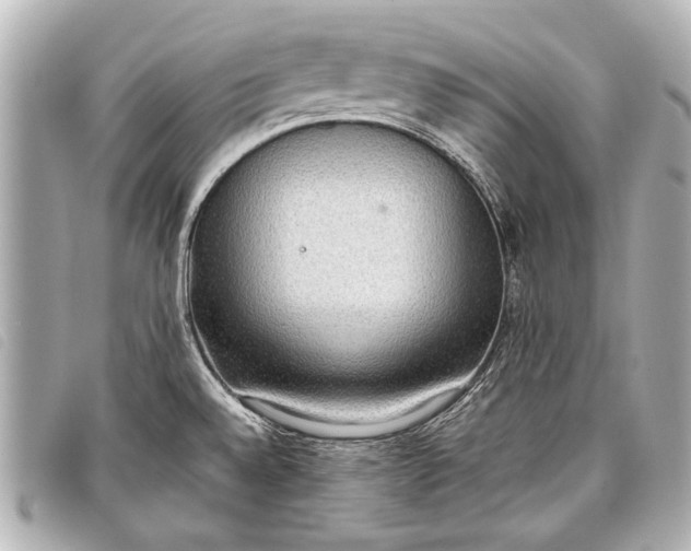 X0000098111528200804181438