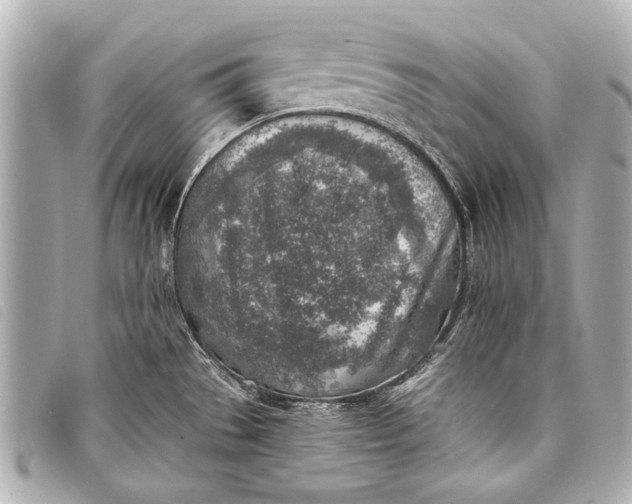 X0000098111529200804181438