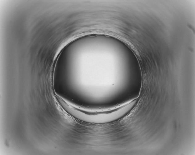 X0000098111530200804181438