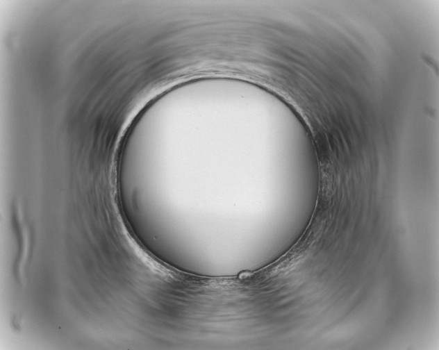 X0000098111531200804181438