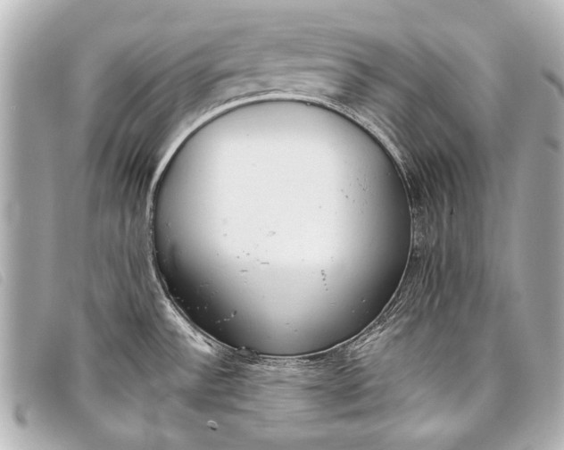 X0000098111532200804181438