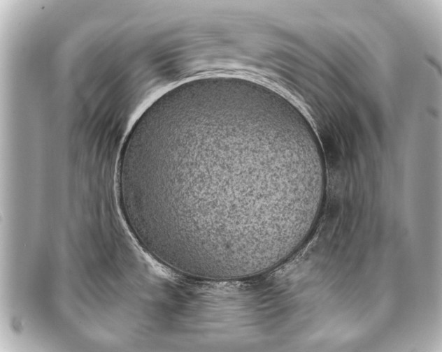 X0000098111533200804181438