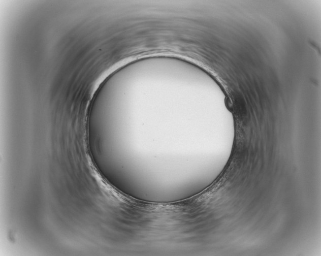 X0000098111534200804181438