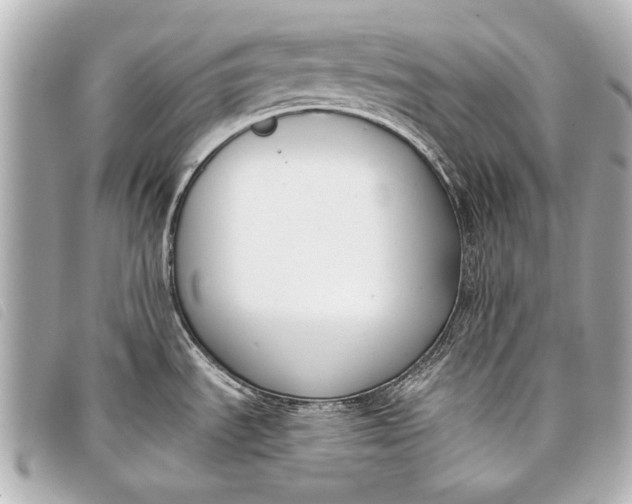 X0000098111535200804181438