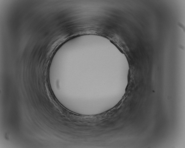 X0000098110001200804251439