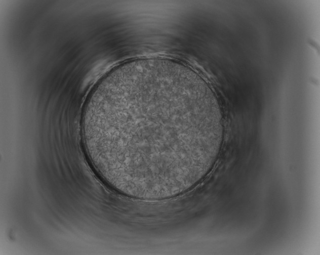 X0000098110002200804251439