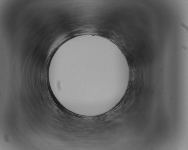 X0000098110004200804251439