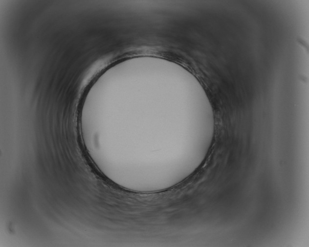 X0000098110006200804251439