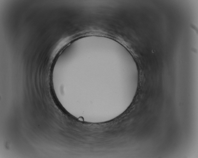 X0000098110007200804251439