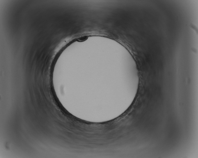 X0000098110008200804251439