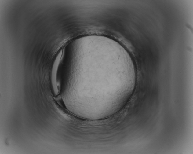 X0000098110009200804251439