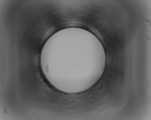 X0000098110010200804251439