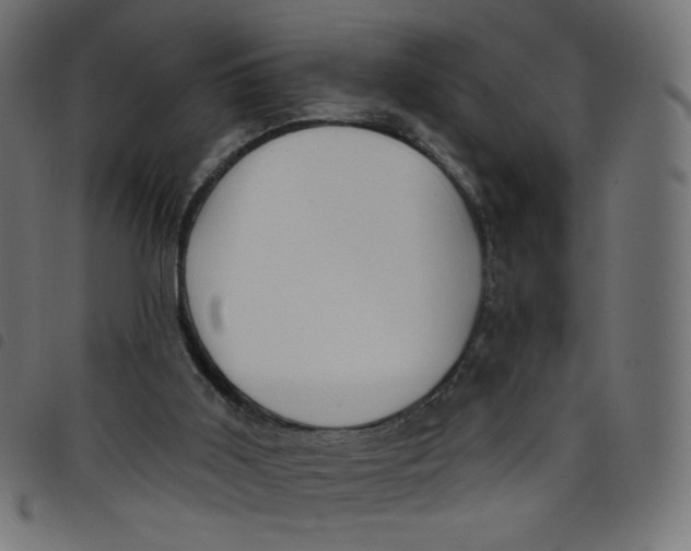 X0000098110011200804251439