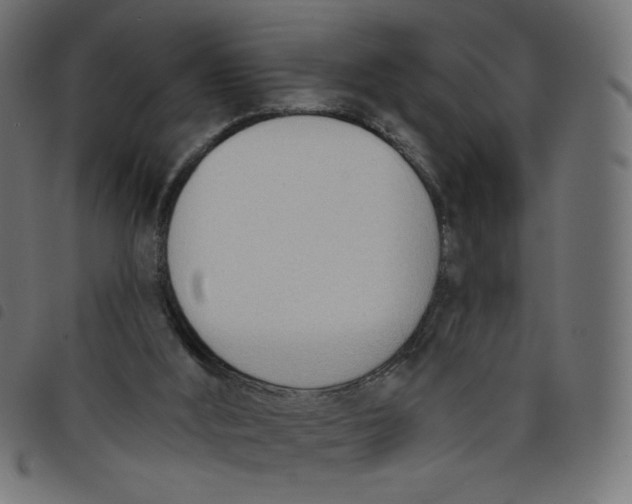 X0000098110012200804251439