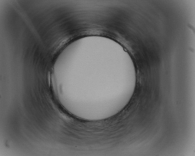 X0000098110013200804251439