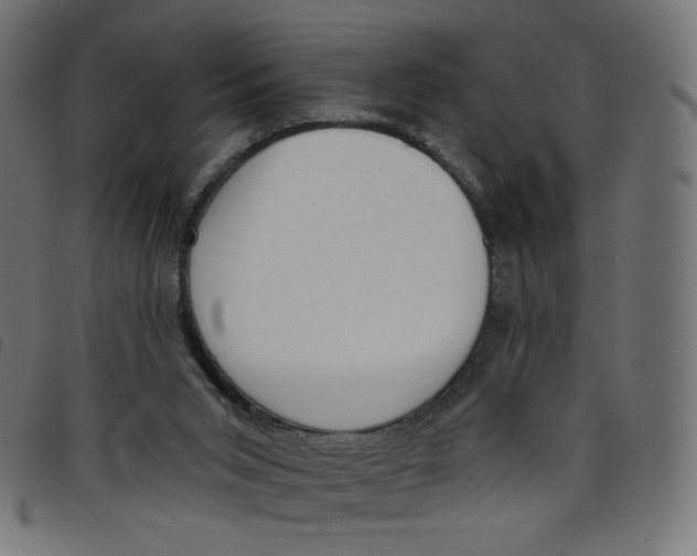 X0000098110015200804251439