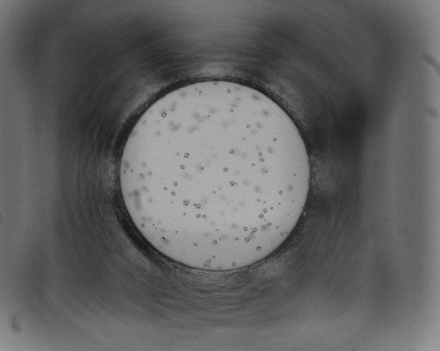 X0000098110016200804251439