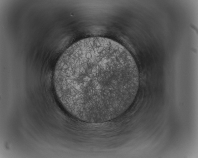 X0000098110018200804251439