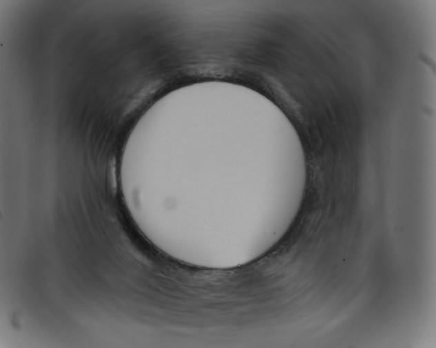 X0000098110020200804251439