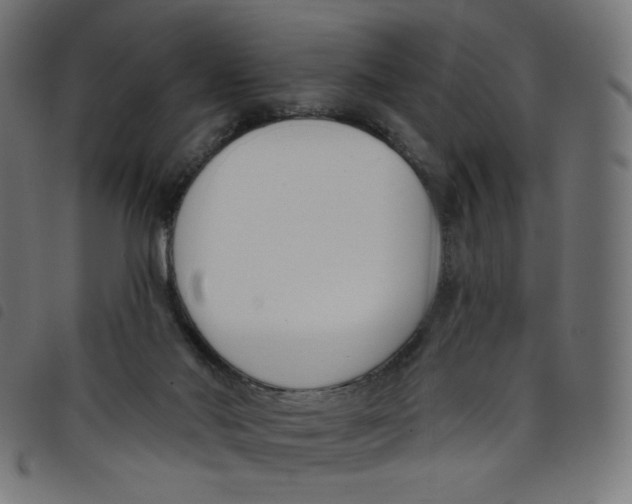 X0000098110022200804251439