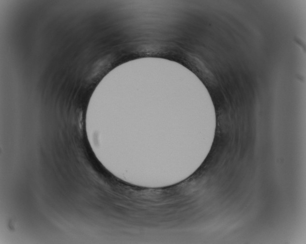 X0000098110024200804251438