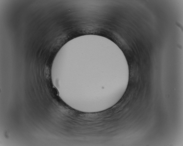 X0000098110025200804251438