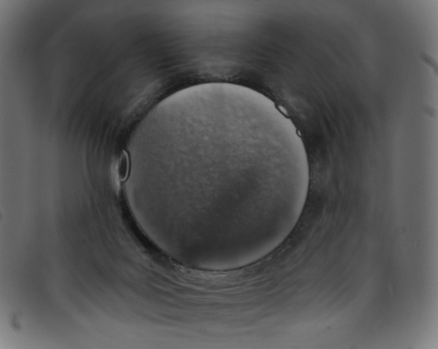 X0000098110027200804251438