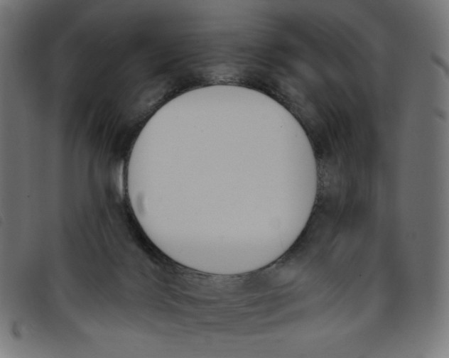 X0000098110028200804251438