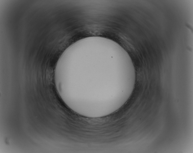 X0000098110030200804251438