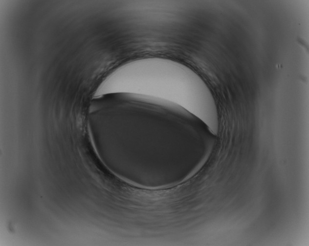 X0000098110031200804251438