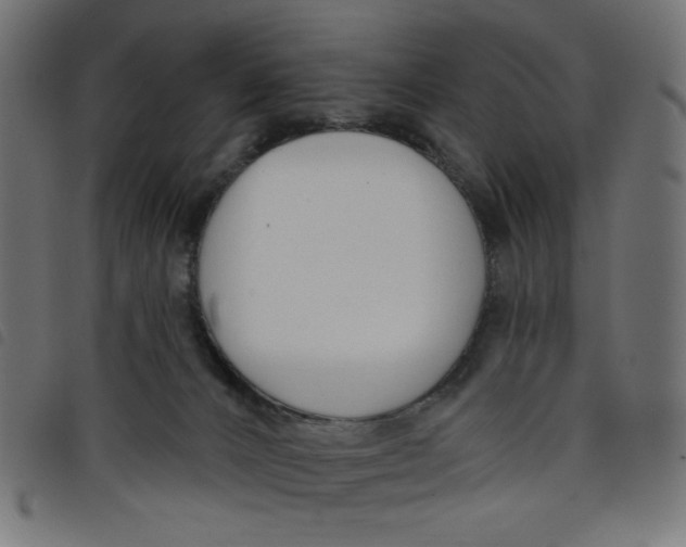 X0000098110032200804251438