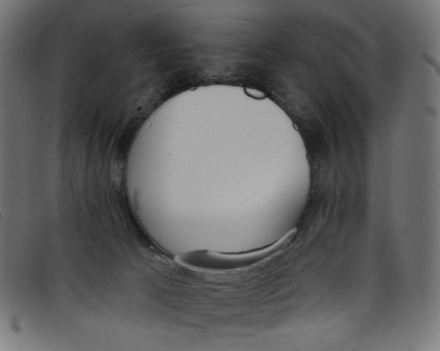 X0000098110033200804251438