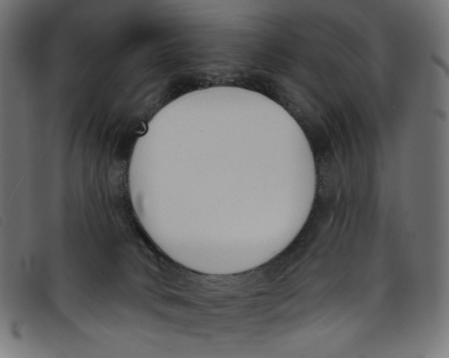 X0000098110034200804251438