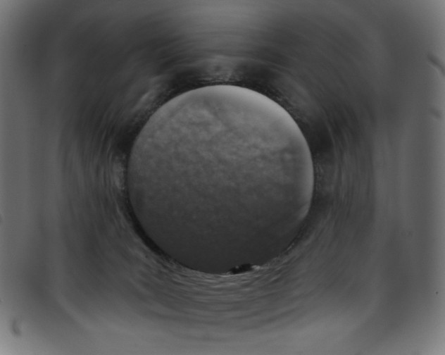 X0000098110035200804251438