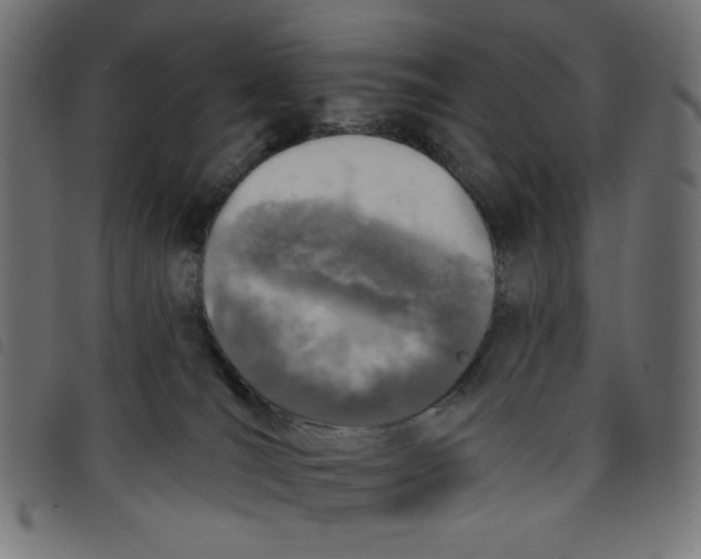 X0000098110036200804251438