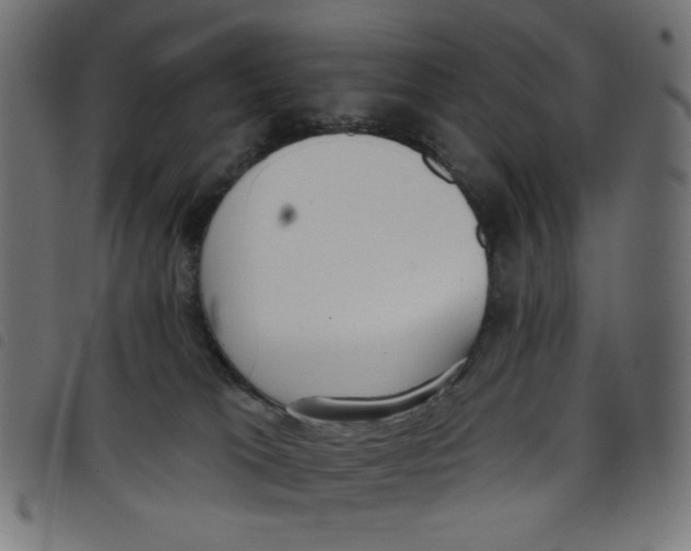 X0000098110037200804251438