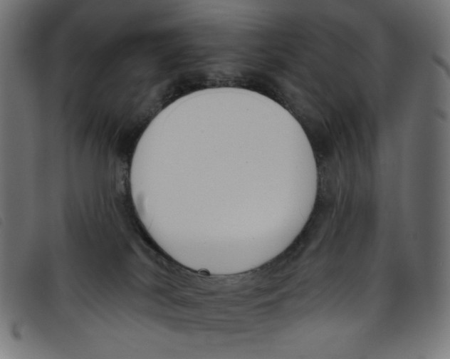 X0000098110038200804251438